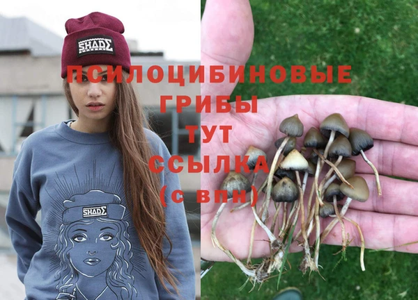 ALPHA-PVP Медногорск