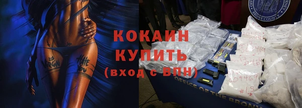 сатива Магас