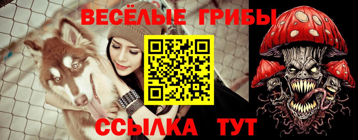 Галлюциногенные грибы GOLDEN TEACHER Усть-Илимск