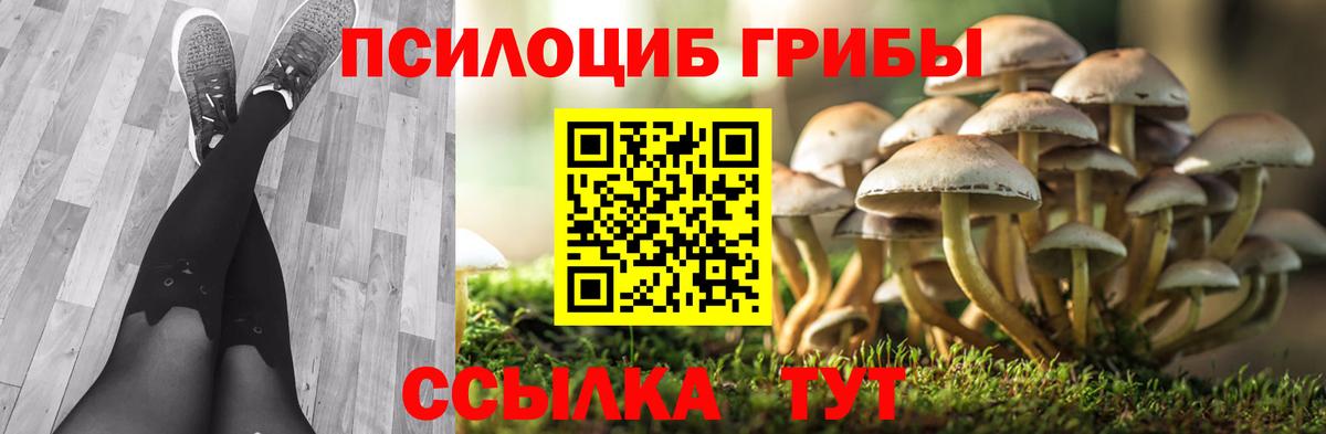 Усть-Илимск  Галлюциногенные грибы Psilocybine cubensis  Псилоцибиновые грибы мухоморы  Вход с VPN 