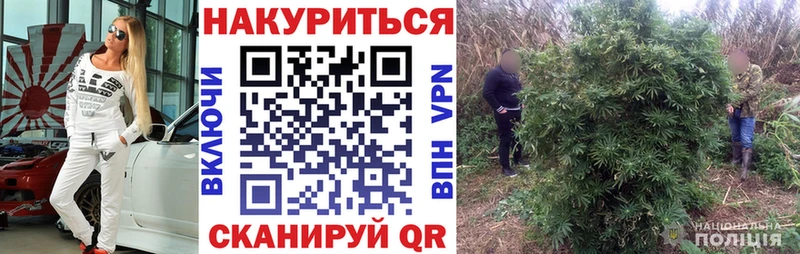 купить наркотики цена  Усть-Илимск  Канабис Bruce Banner 